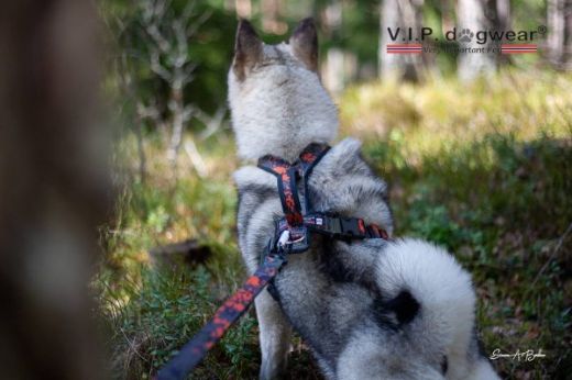 Bilde av VIP Dogwear HUNTING Tracker Pro Hunting